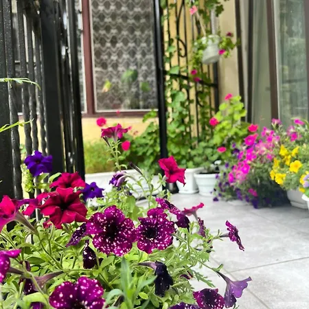 Apartamento світла затишна в центрі біля оперного театру з балконом, який виходить у тихий львівський дворик *