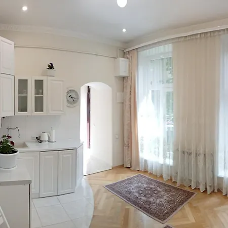 світла затишна в центрі біля оперного театру з балконом, який виходить у тихий львівський дворик アパート *