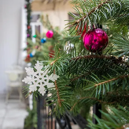 світла затишна в центрі біля оперного театру з балконом, який виходить у тихий львівський дворик Lvov