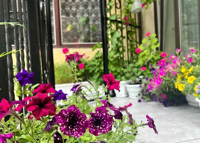 Apartament світла затишна в центрі біля оперного театру з балконом, який виходить у тихий львівський дворик *